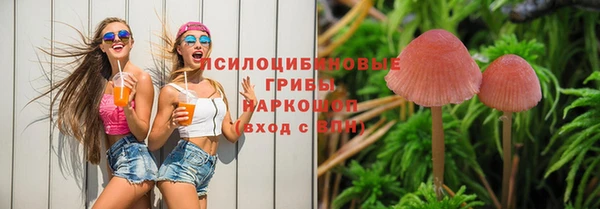 спиды Абдулино