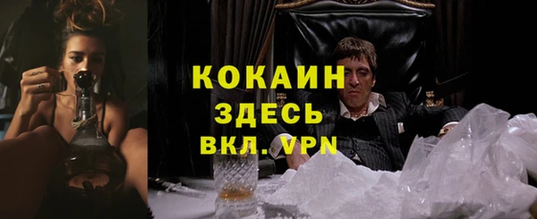 прущие крисы Абаза