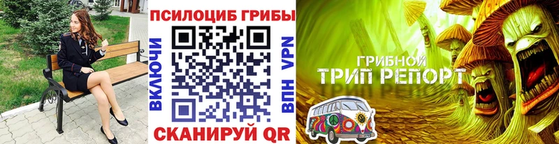 omg онион  Чегем  Галлюциногенные грибы мицелий 